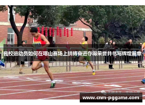 我校运动员如何在喀山赛场上拼搏奋进夺得荣誉并书写辉煌篇章