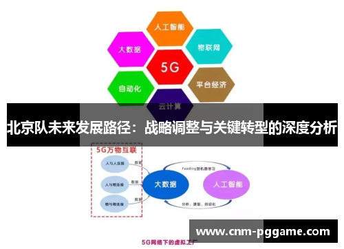 北京队未来发展路径：战略调整与关键转型的深度分析