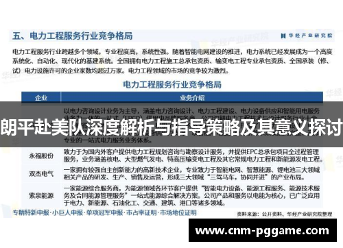 朗平赴美队深度解析与指导策略及其意义探讨