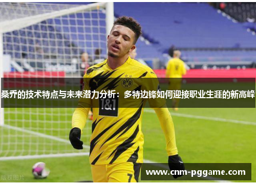 桑乔的技术特点与未来潜力分析：多特边锋如何迎接职业生涯的新高峰