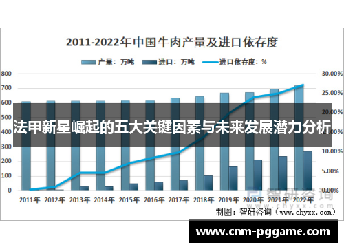 法甲新星崛起的五大关键因素与未来发展潜力分析