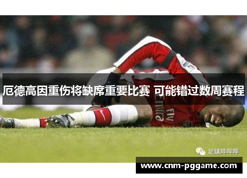 厄德高因重伤将缺席重要比赛 可能错过数周赛程