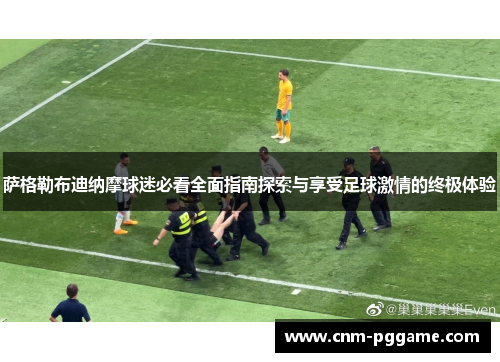 萨格勒布迪纳摩球迷必看全面指南探索与享受足球激情的终极体验